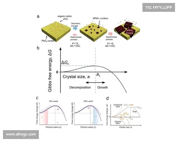 五大联赛的特点与差异解析：从技术水平到商业化发展全面对比